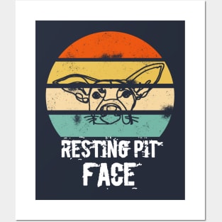 Vintage resting pit face dog Posters and Art